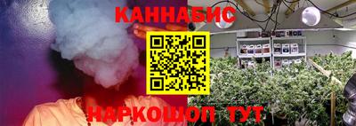 прущие крисы Гусев