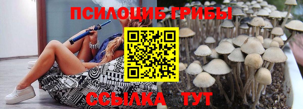 Галлюциногенные грибы Cubensis Ирбит